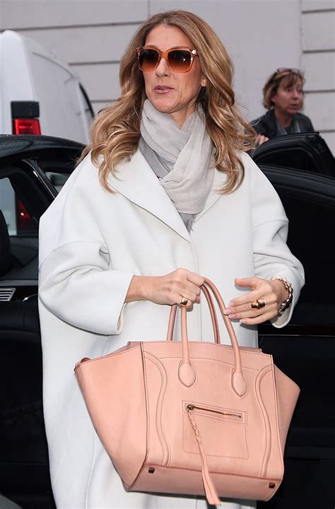 celine winter bag|Celine dion handbags website.